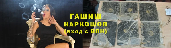 стаф Медногорск