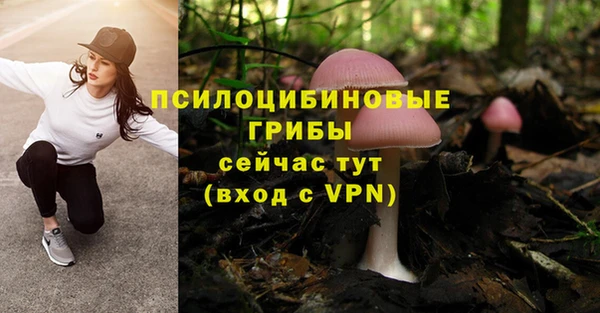 Альфа ПВП Михайловка